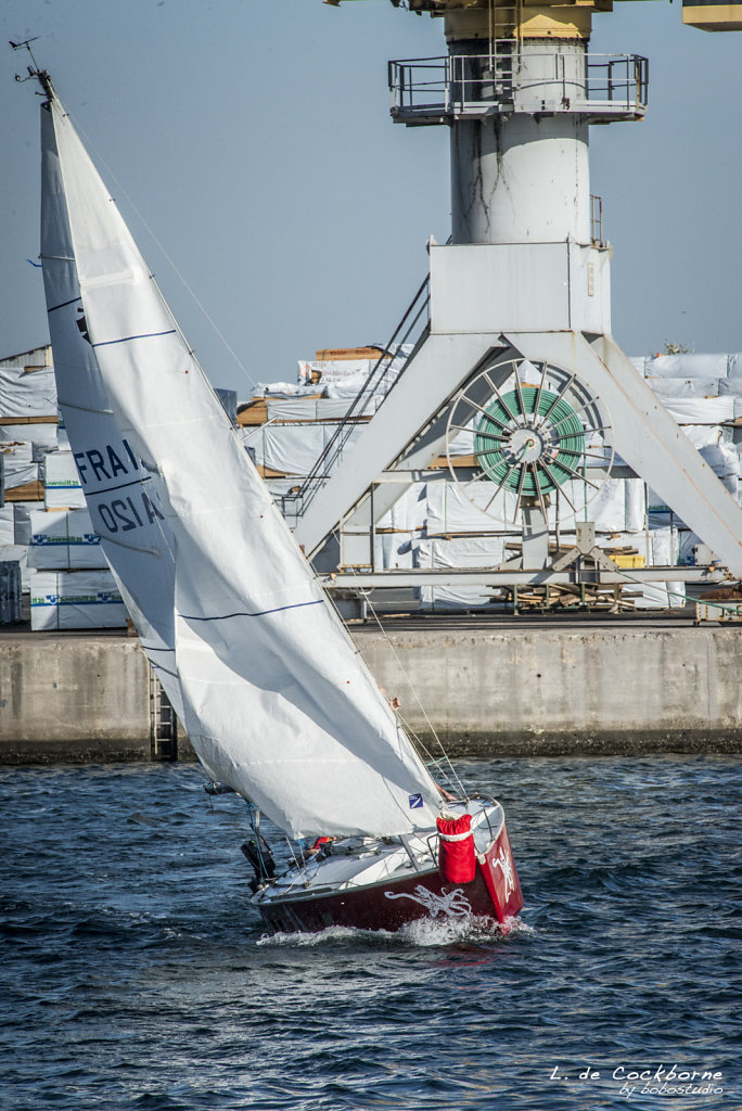 route-du-rhum-2014-296.jpg