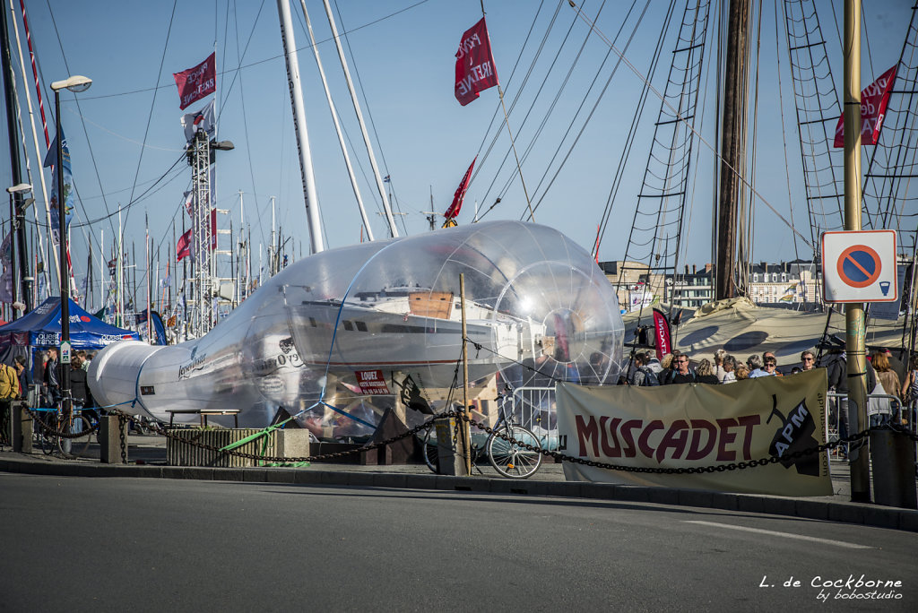 route-du-rhum-2014-273.jpg