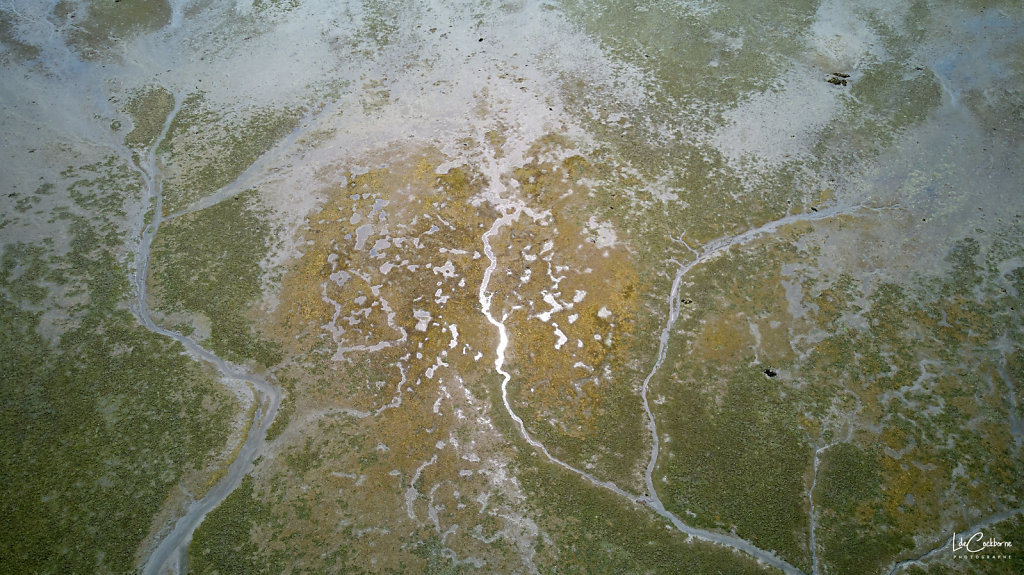 DJI-0217.jpg